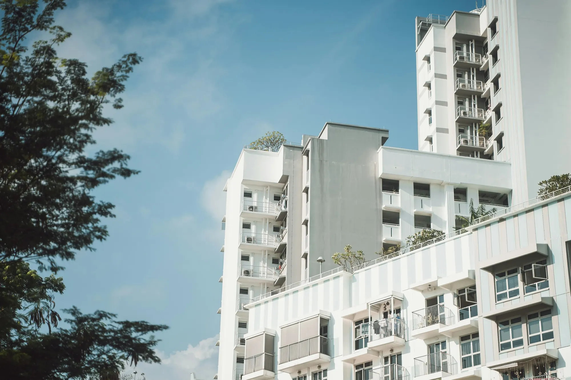 Residential blocks with balconies and trees in Punggol, Singapore